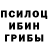 Псилоцибиновые грибы Psilocybine cubensis Nikolai Moisei