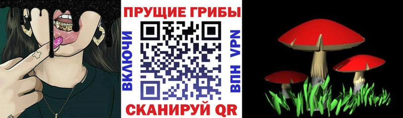 Псилоцибиновые грибы Cubensis  hydra ONION  Шацк  цена  